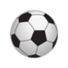 大连桐哲