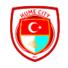 休城